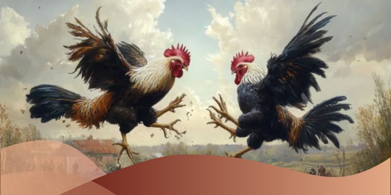 Điểm nổi bật của kèo cược đá gà ao làng tại nhà cái SV66
